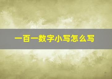 一百一数字小写怎么写