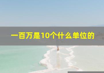 一百万是10个什么单位的