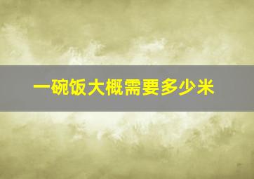 一碗饭大概需要多少米