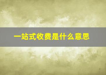 一站式收费是什么意思