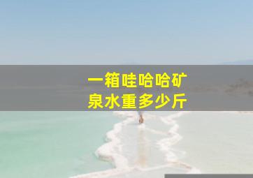 一箱哇哈哈矿泉水重多少斤