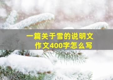 一篇关于雪的说明文作文400字怎么写