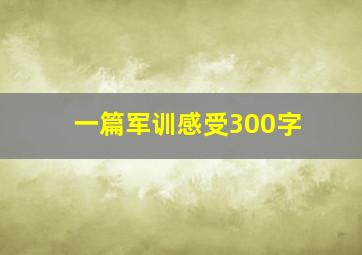 一篇军训感受300字