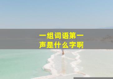 一组词语第一声是什么字啊