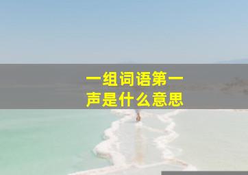 一组词语第一声是什么意思