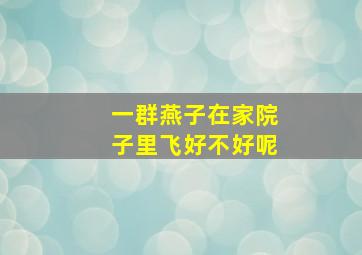 一群燕子在家院子里飞好不好呢