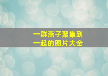 一群燕子聚集到一起的图片大全