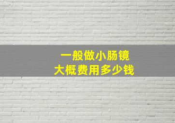 一般做小肠镜大概费用多少钱