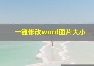 一键修改word图片大小