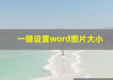 一键设置word图片大小