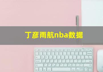 丁彦雨航nba数据