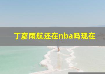 丁彦雨航还在nba吗现在