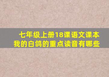 七年级上册18课语文课本我的白鸽的重点读音有哪些