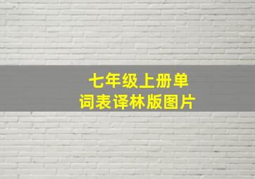 七年级上册单词表译林版图片