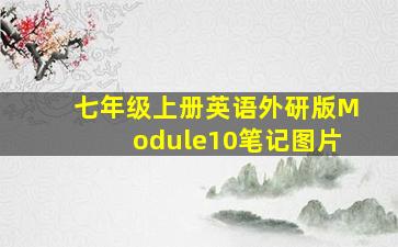 七年级上册英语外研版Module10笔记图片