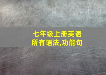 七年级上册英语所有语法,功能句