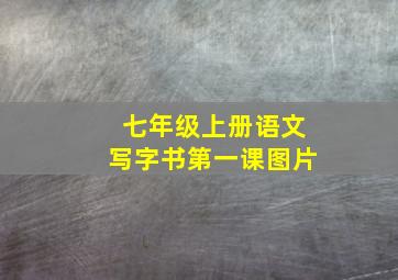 七年级上册语文写字书第一课图片