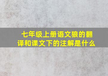 七年级上册语文狼的翻译和课文下的注解是什么