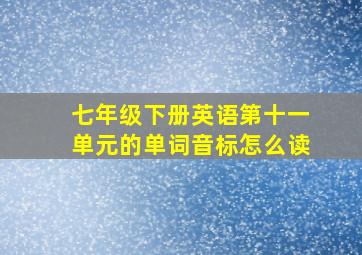 七年级下册英语第十一单元的单词音标怎么读