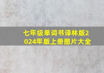 七年级单词书译林版2024年版上册图片大全