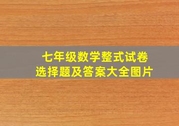 七年级数学整式试卷选择题及答案大全图片