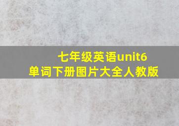 七年级英语unit6单词下册图片大全人教版