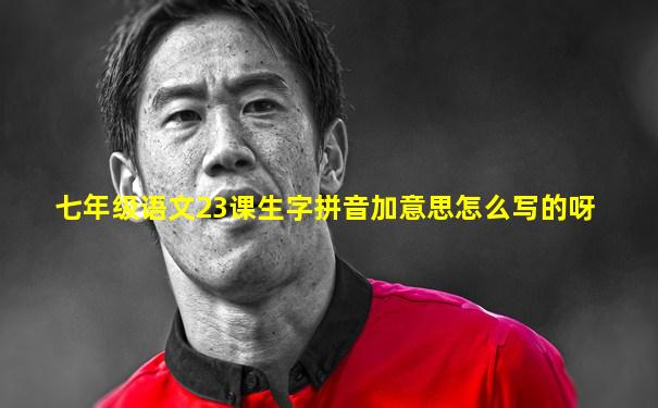 七年级语文23课生字拼音加意思怎么写的呀