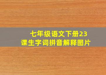 七年级语文下册23课生字词拼音解释图片