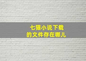 七猫小说下载的文件存在哪儿