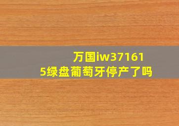 万国iw371615绿盘葡萄牙停产了吗