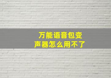 万能语音包变声器怎么用不了