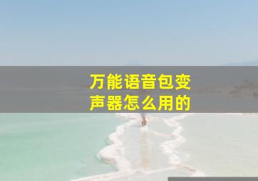 万能语音包变声器怎么用的