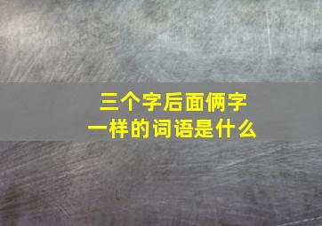 三个字后面俩字一样的词语是什么