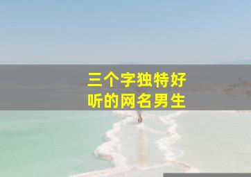 三个字独特好听的网名男生