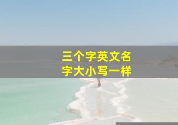 三个字英文名字大小写一样