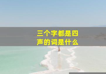 三个字都是四声的词是什么