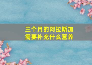 三个月的阿拉斯加需要补充什么营养