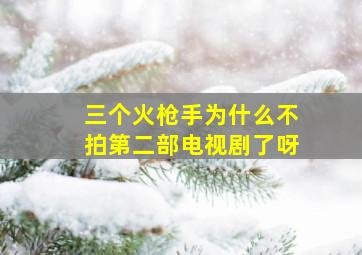 三个火枪手为什么不拍第二部电视剧了呀