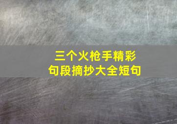 三个火枪手精彩句段摘抄大全短句