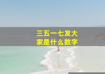 三五一七发大家是什么数字