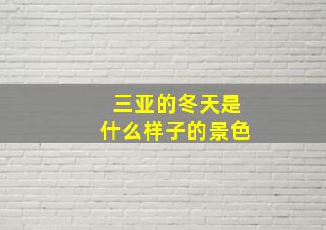 三亚的冬天是什么样子的景色