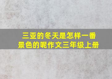 三亚的冬天是怎样一番景色的呢作文三年级上册