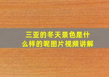 三亚的冬天景色是什么样的呢图片视频讲解