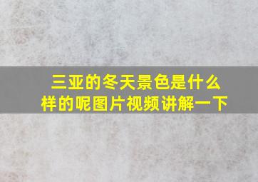 三亚的冬天景色是什么样的呢图片视频讲解一下