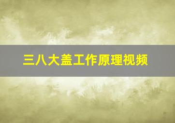 三八大盖工作原理视频