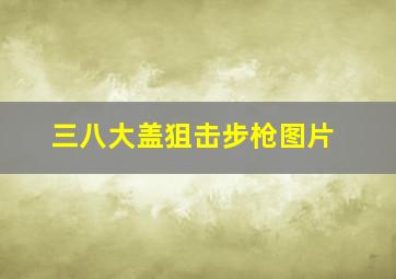 三八大盖狙击步枪图片