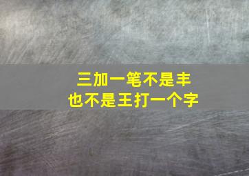 三加一笔不是丰也不是王打一个字