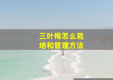 三叶梅怎么栽培和管理方法