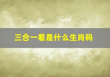 三合一看是什么生肖码