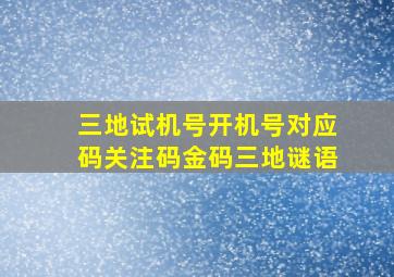 三地试机号开机号对应码关注码金码三地谜语